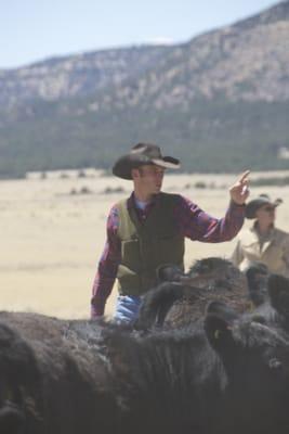 Vaquero Feed and Livestock Supply