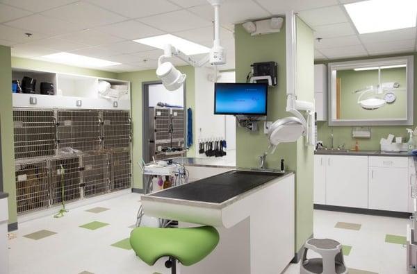 The clean, modern, brand-new veterinary facilities at Northern Liberties Veterinary Center ensure that your pets have a safe,...