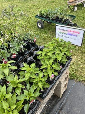 Vegetable planters