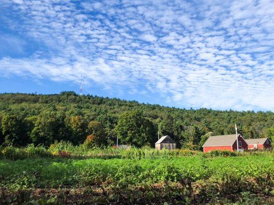 Set in the Blue Hills Reservation.