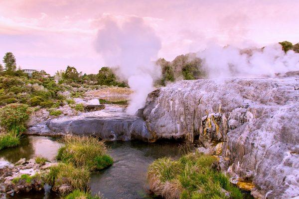 Te Puia, Pohutu Geyser