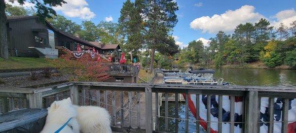 Frankie and Bear enjoy the patio