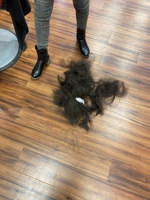 All the hair took off