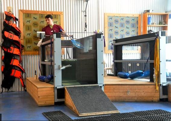 Underwater treadmill facilities at the Royal Treatment Veterinary Center