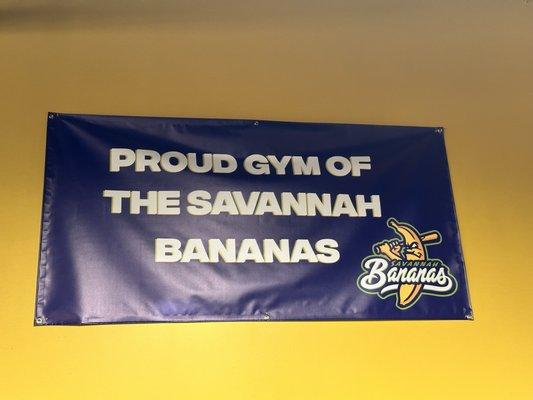 Train where the Savannah Bananas train.