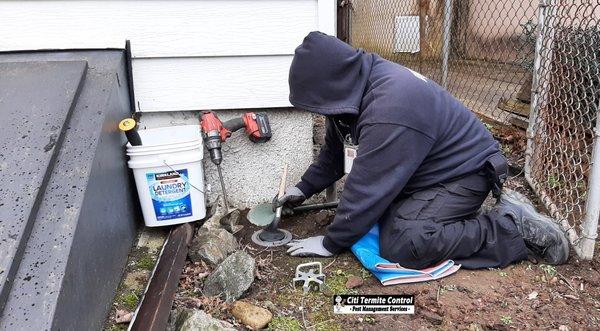 Termite Traps installation.