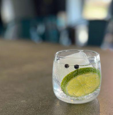 Ultimate Gin & Tonic