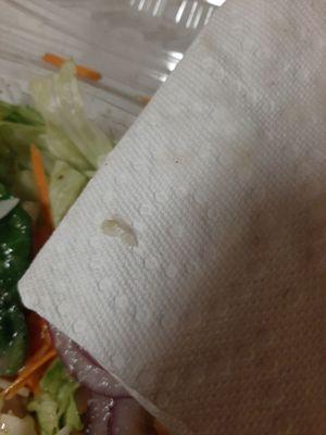 Dirty fingernail in Chef Salad