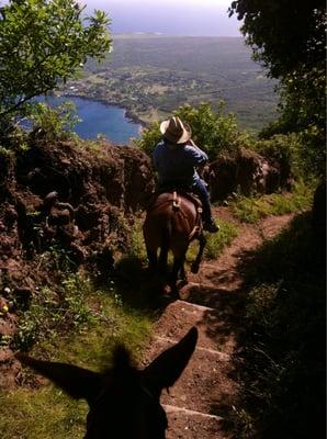 Mama Loo on Molokai mule ride!