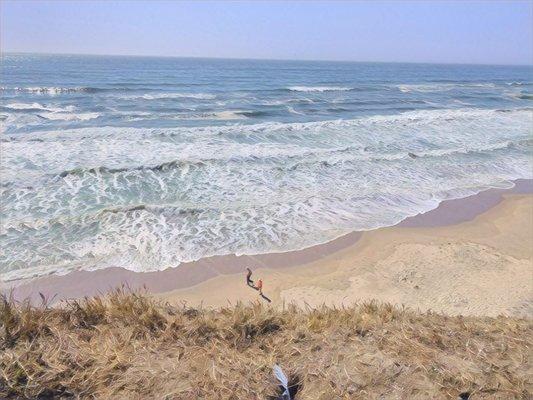 Pomponio State Beach