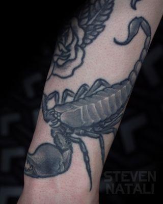 Healed Scorpion by Steven Natali at Electric Vision Tattoo.  Seattle, WA