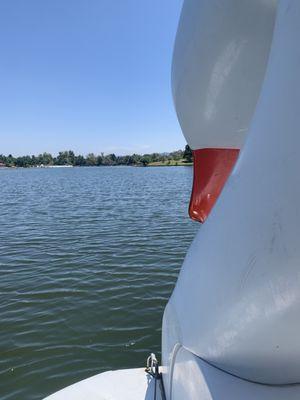 View from the middle of the lake