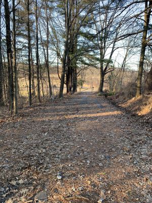 Old farm road, now State Land and footpath.