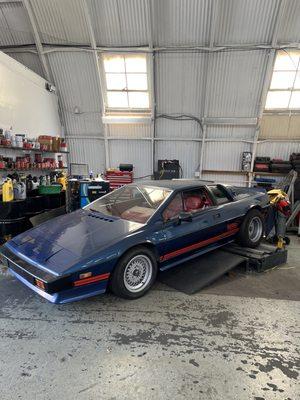 1983 LOTUS ESPRIT