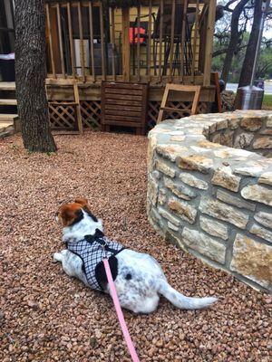 Casa Vindemia ~ Wimberley, Texas