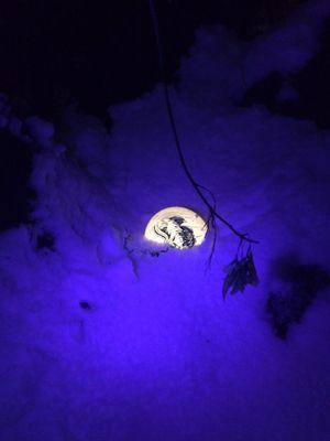 Pumpkin King enjoyin the snow on Hole 12 during Friday Eve Glow.