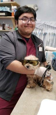 Laser therapy can do wonders for you pet.