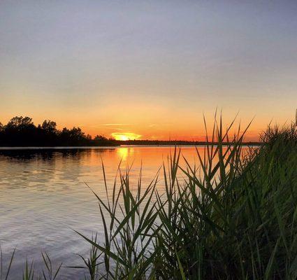 Pungo Sunset