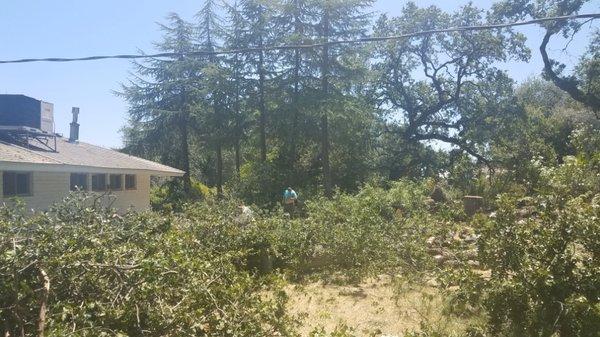 Property clearance palo cedro California