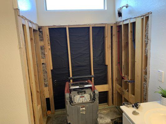 Shower Removal/ Dryout