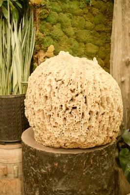 Giant sea sponge