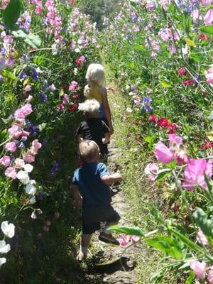 Thomas kids marching down aisle of sweet peas