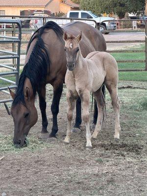 Mamma and baby