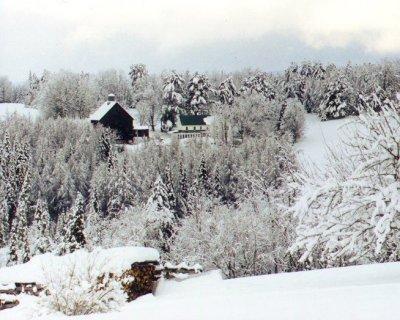 From across the valley looking toward the B & B in deep winter