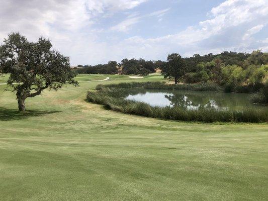 Fantastic par 5 15th hole.