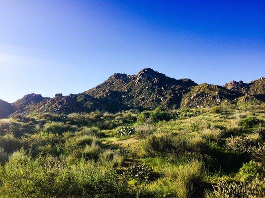 Tom's Thumb Trailhead (McDowell Mountain Region)