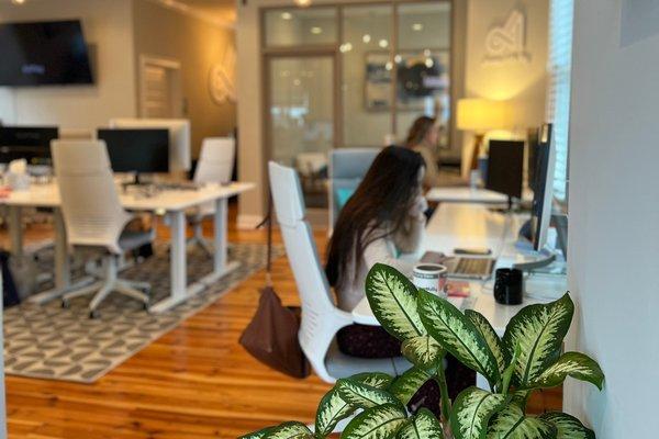 Our airy, open main office area greets you with warm inviting vibes