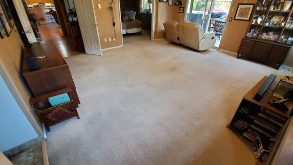 Carpet Cleaning by Tom