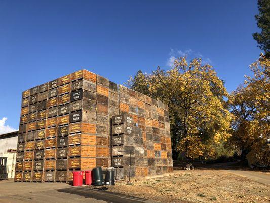 Working farm, stacked up apple boxes