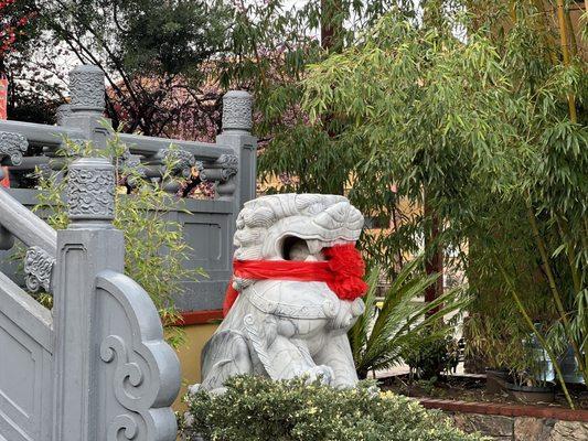 Lion with variegated pine