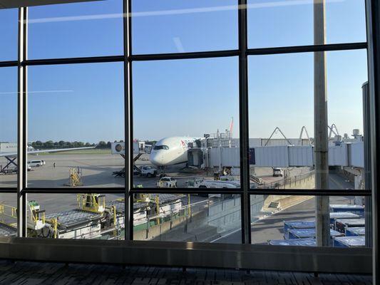 Delta Air Lines A350-900 at MSP after a flight from Seoul.