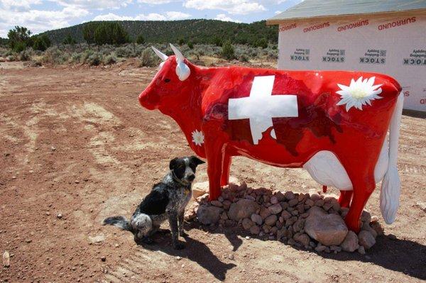 Our Swiss cow at the entrance