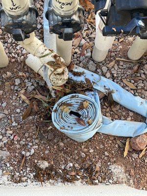 Skimmer basket dumped on pool equipment