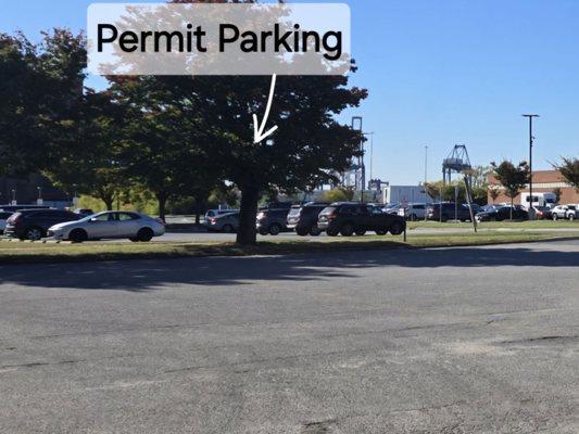 Permit Parking Only