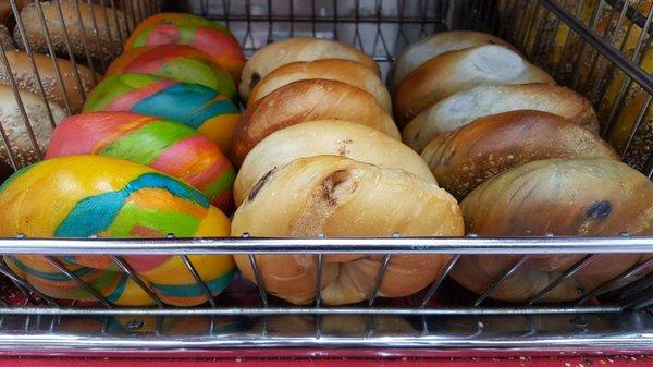 Rainbow, Chocolate Chip and Blueberry Bagel