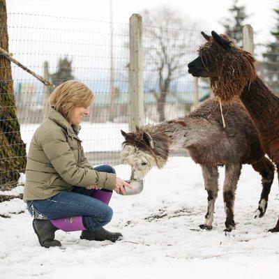 Kelley feeding the alpacas