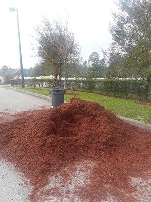 You need mulch call call Gomez landscaping 3212948258