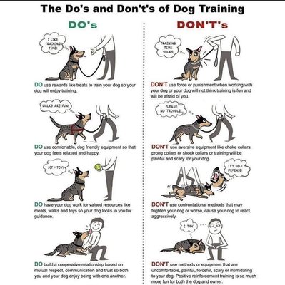 Dos and donuts  of dog training