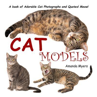 Cat Models - Book of Adorable Cat Photographs and Quotes  https://astylephotography.com/product/cat-models/