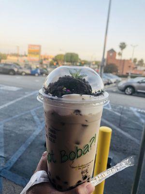 Got Boba