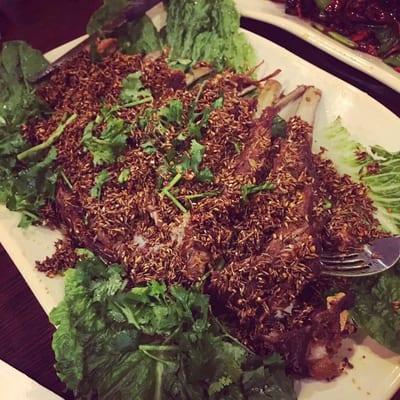 House special lamb chop 丰泽羊排