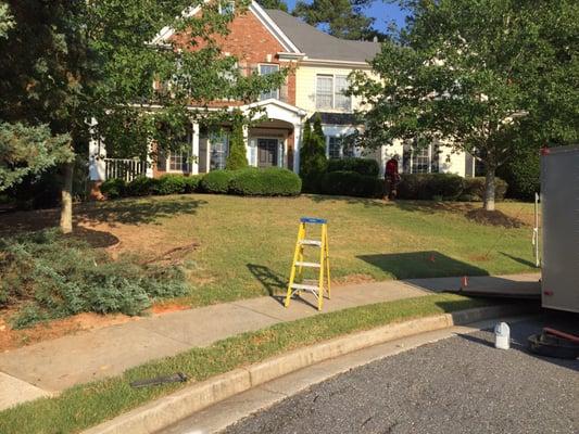 Installation of sod and removal of shrubs, tree in Hamilton mill, Dacula