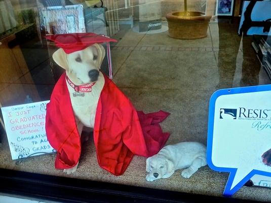 Come see Berber! He's been an icon at the Glendora Village for quite some time now!