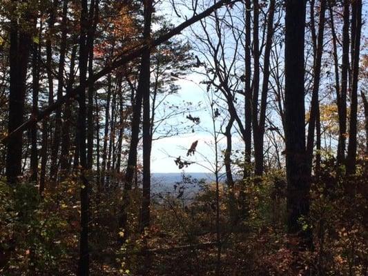 3.99 acres atop Lookout Mountain for sale in private gated community.  Call us today to see this beautiful view!