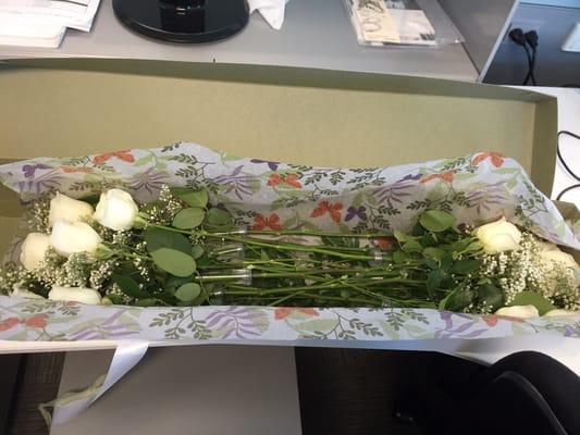 A dozen white roses from Maryam Flowers