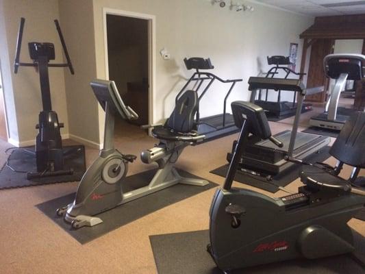 This gym offers cardio equipment too! (You just have to be brave enough to go find it...)